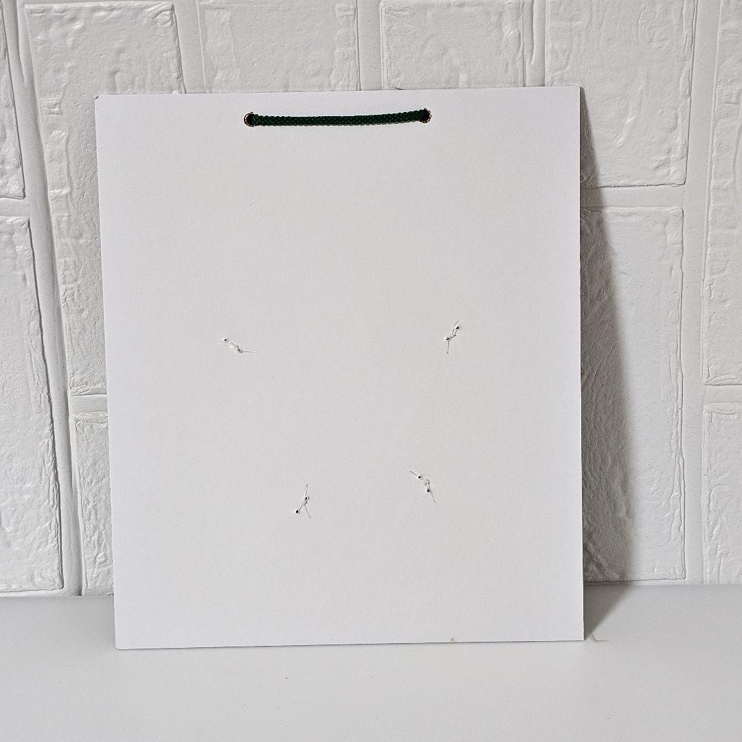 匿名発送　激レア　長野パラリンピック勝者月桂冠　レプリカ　記念品　オリンピック