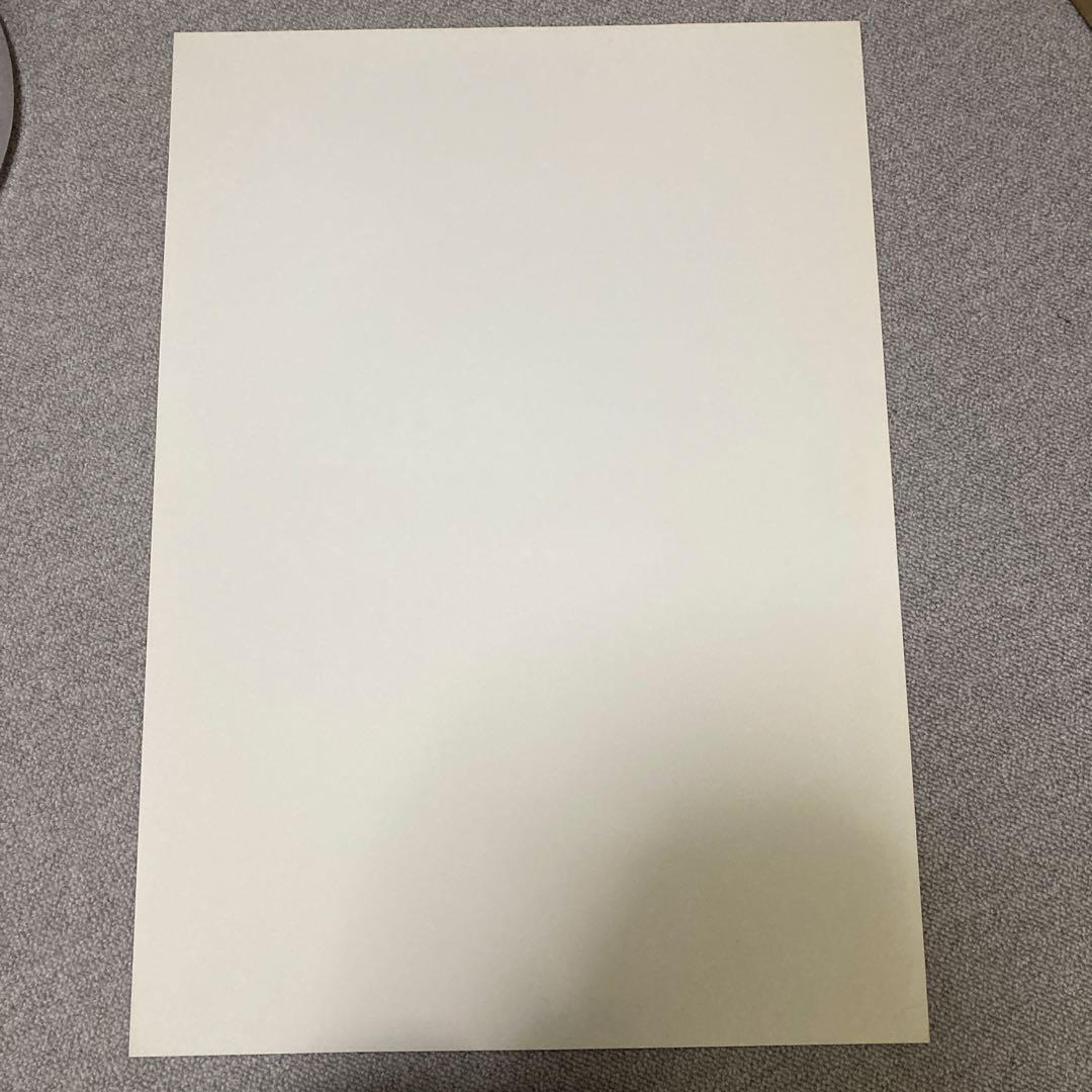 井川遥　BODY WILD FIT BOXER ポスター　美品　グンゼ　赤　２