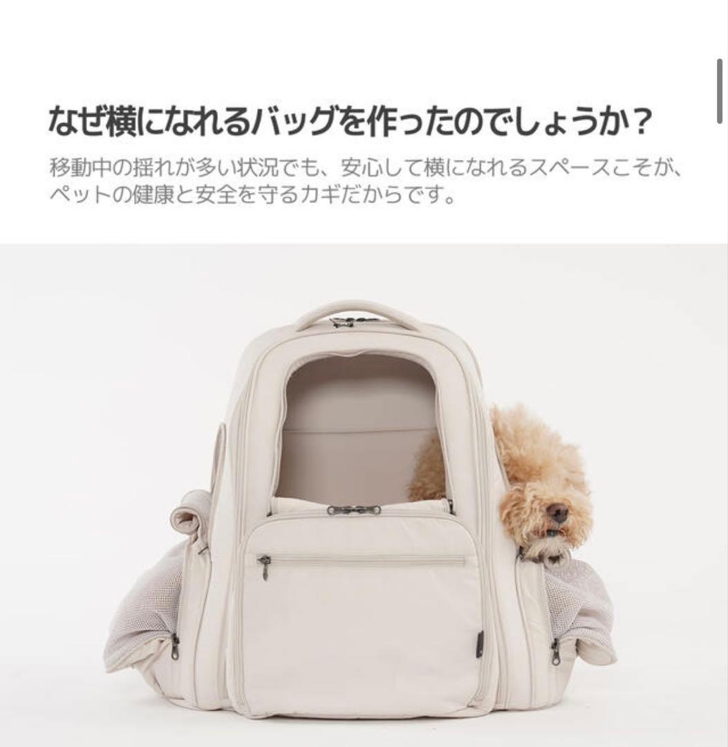 値下げしました‼︎ ssoook バックパック