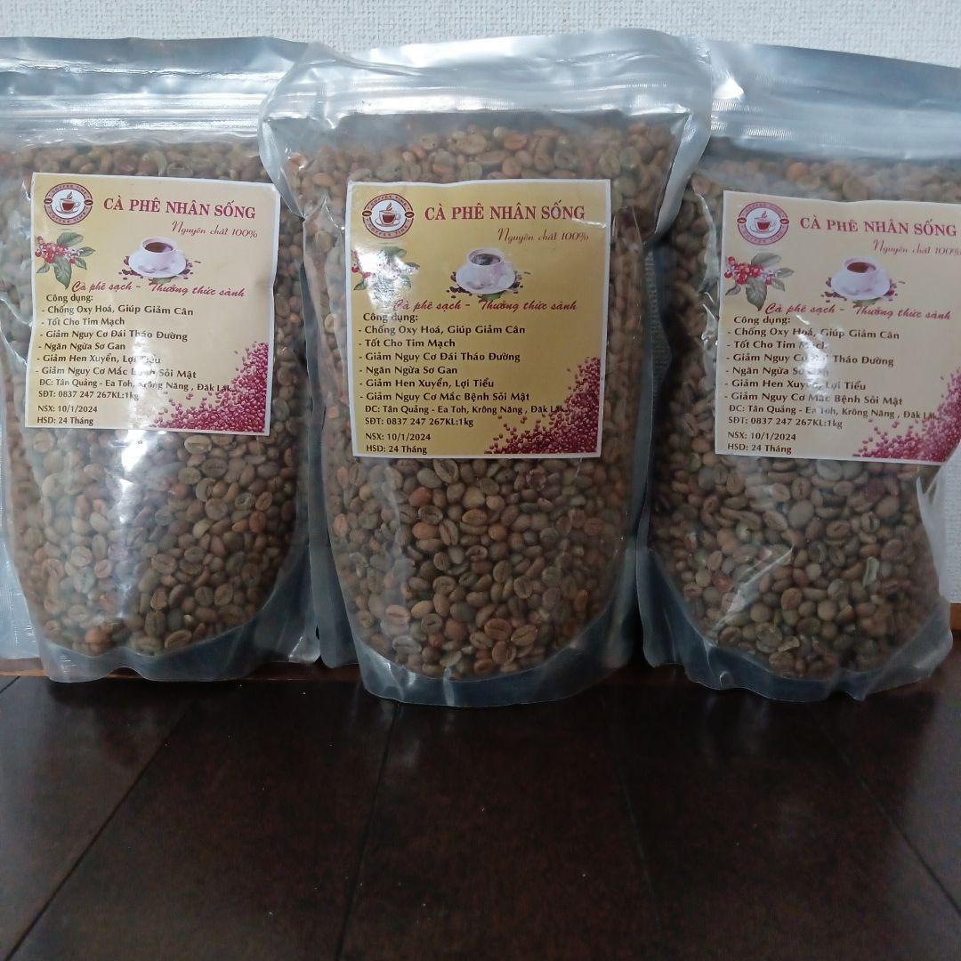 かめさん　生豆 ルビーマウンテン　5kg