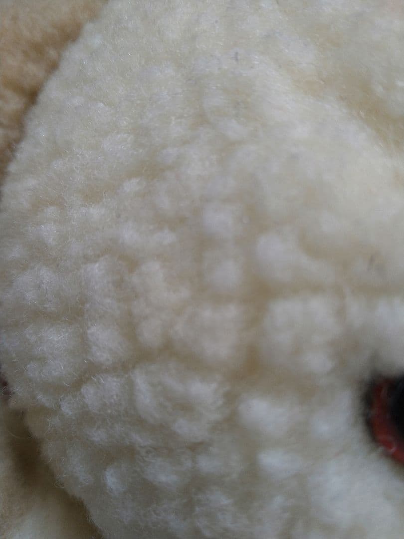 オルゴール付　ファーファ