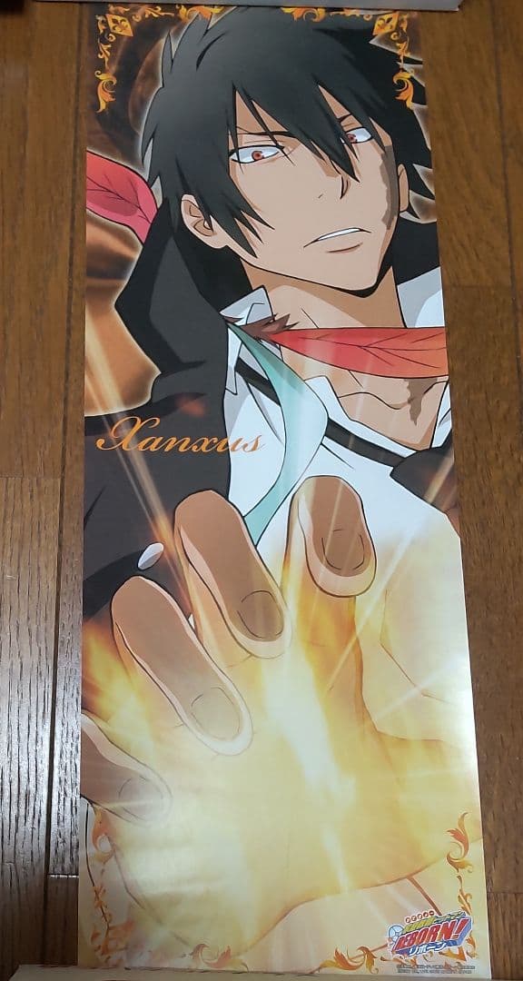 家庭教師ヒットマンREBORN！スティックポスター 13枚 まとめ売り