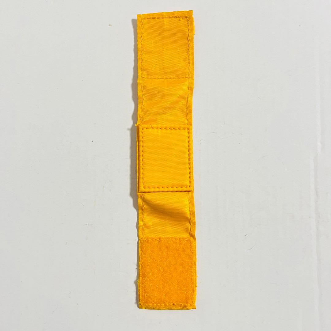 爆竜戦隊アバレンジャーダイノマインダー ステゴプレート・説明書付き動作確認済み