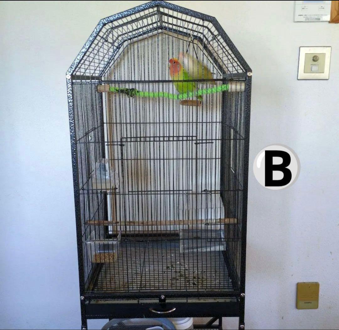 ガジロー様　鳥かごおやすみカバー3点