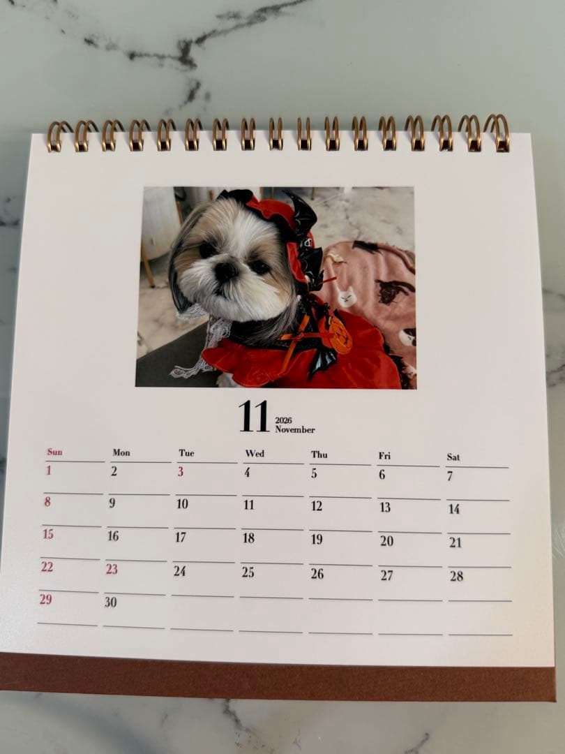 シーズーちくわの卓上カレンダー【オリジナル】
