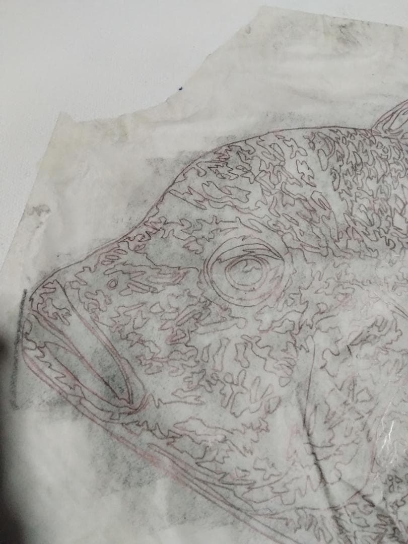 ヒロヤマガタ　巨匠真作魚直筆ドローイング鉛筆木炭画5号額無し保証書あり