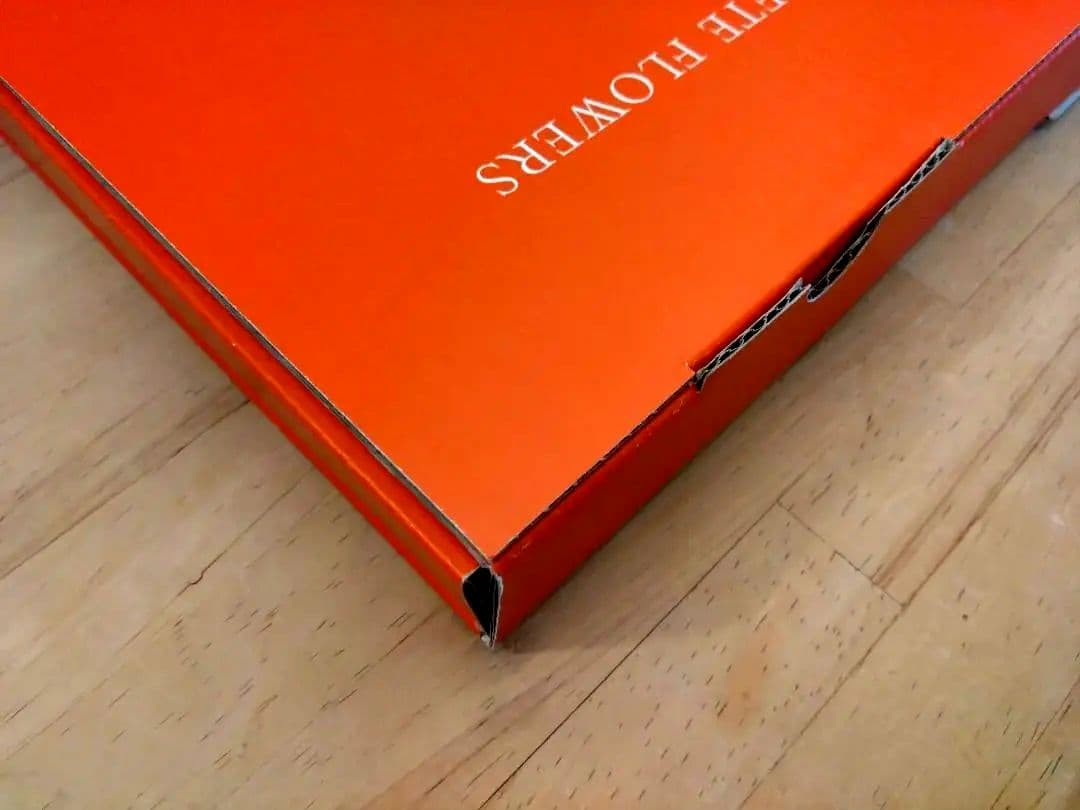 大値下【極品】Mapplethorpe The Complete Flowers