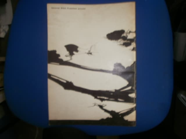 ☆超希少　☆ユーライア・ヒープ　１９７３年　日本公演　パンフレット