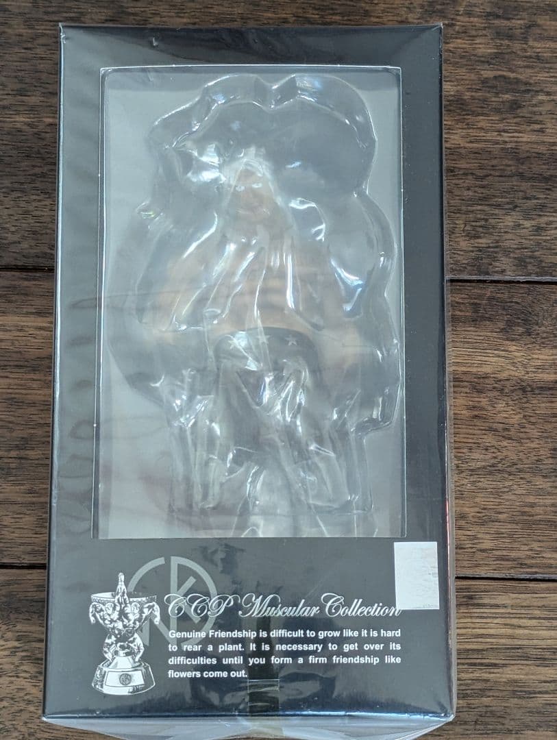 最終値下げ CCP　テリーマン 漆黒 フィギュア王限定 キン肉マン