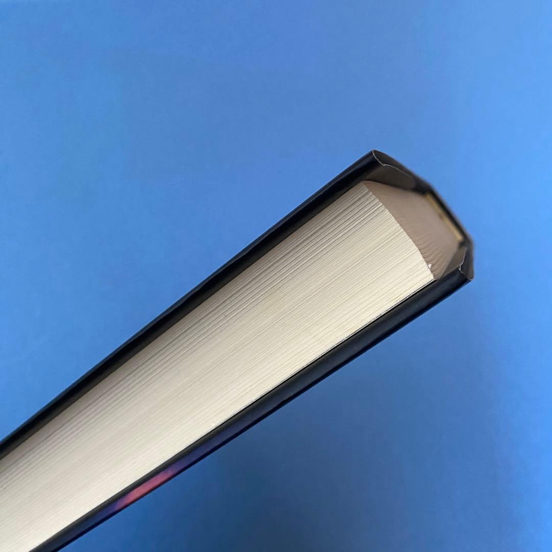 ブラック・ノイズ　書籍　単行本　ヒップホップ