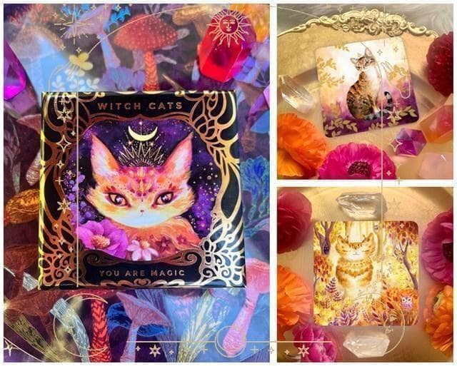 【正規品オラクルカード】海外インディーズデッキ✨スクエア型✨魔法の猫たちのカード