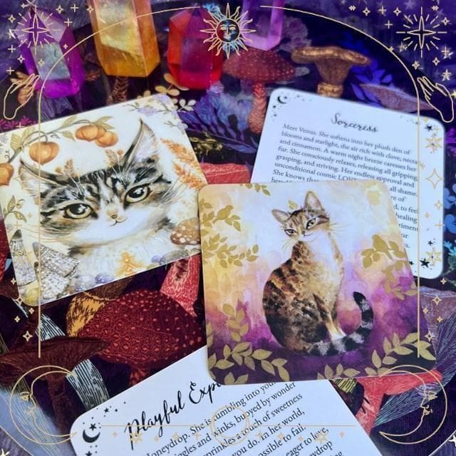 【正規品オラクルカード】海外インディーズデッキ✨スクエア型✨魔法の猫たちのカード