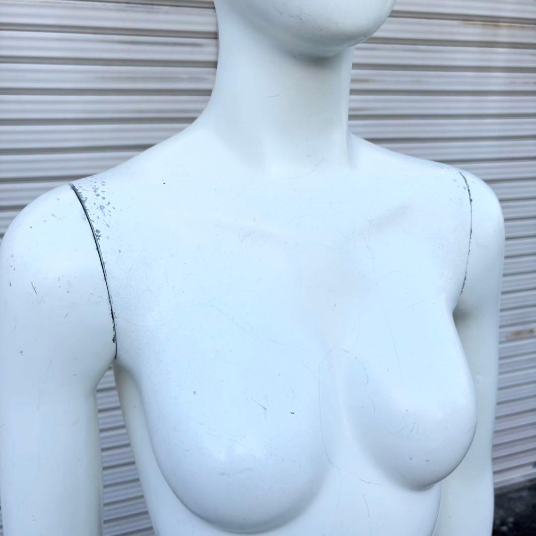 パールイデア パール マネキン 全身 トルソー レディース