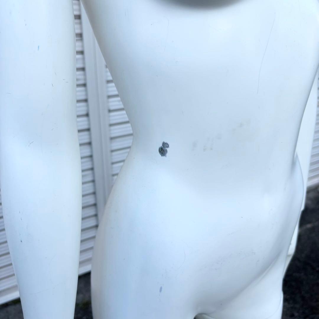 パールイデア パール マネキン 全身 トルソー レディース