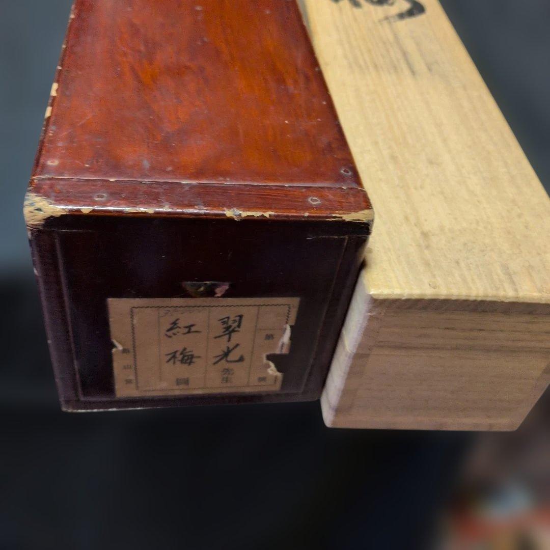 福田翠光　紅梅　掛軸　共箱