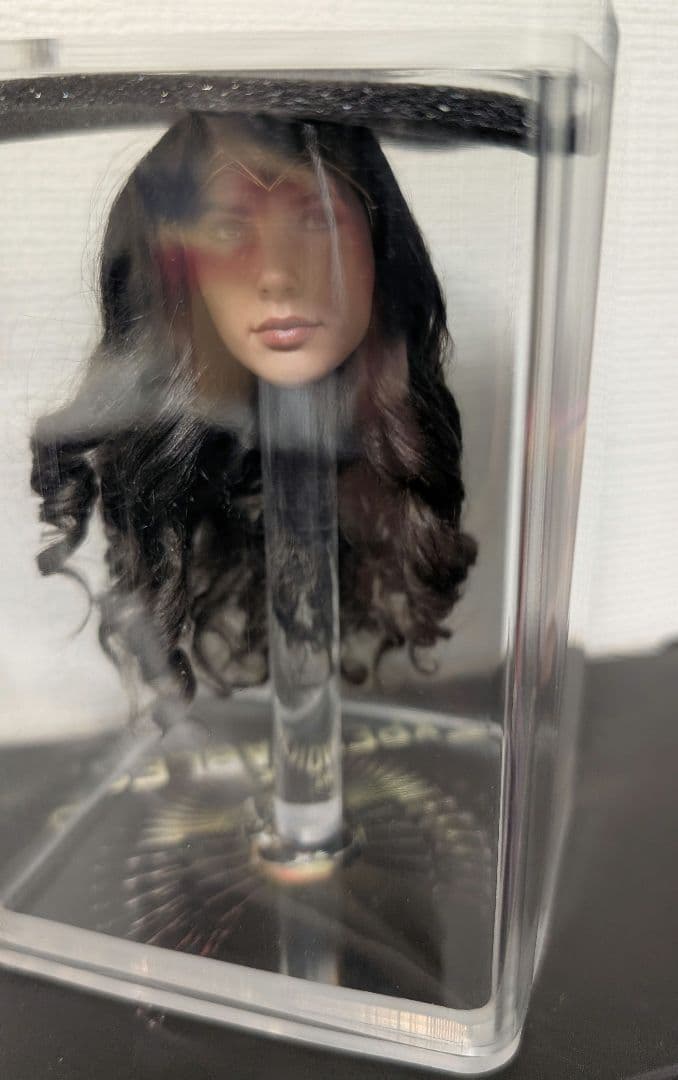 ワンダーウーマン ホットトイズ ワーナー・ブラザーズ100周年1/6フィギュア