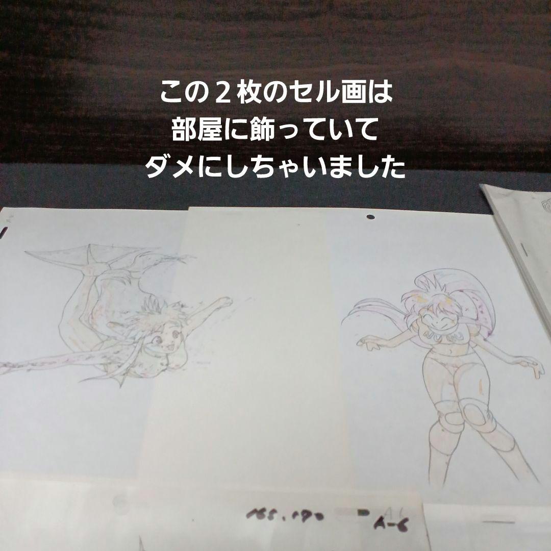 万能文化猫娘 セル画・VHS・CD・設定資料・ポスター