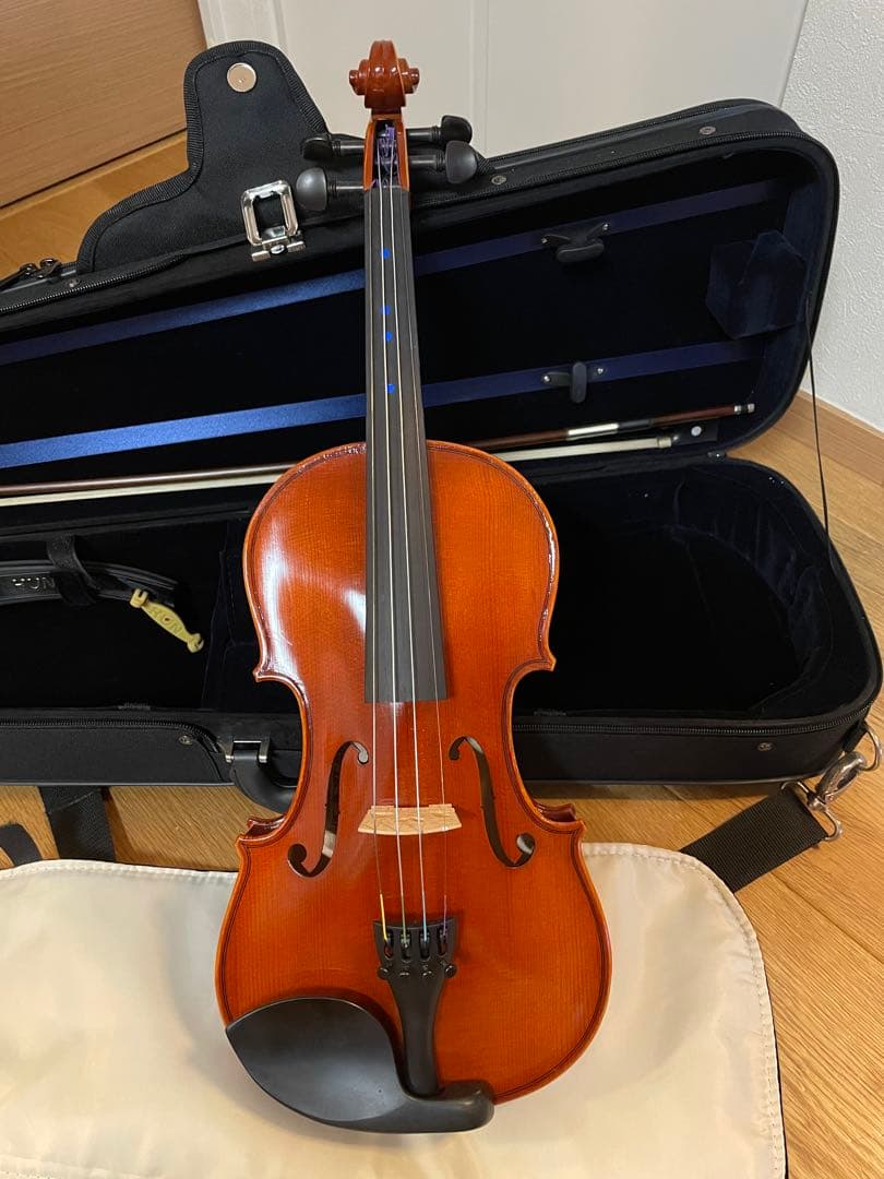 Eastman SVL80セット 4/4 バイオリン