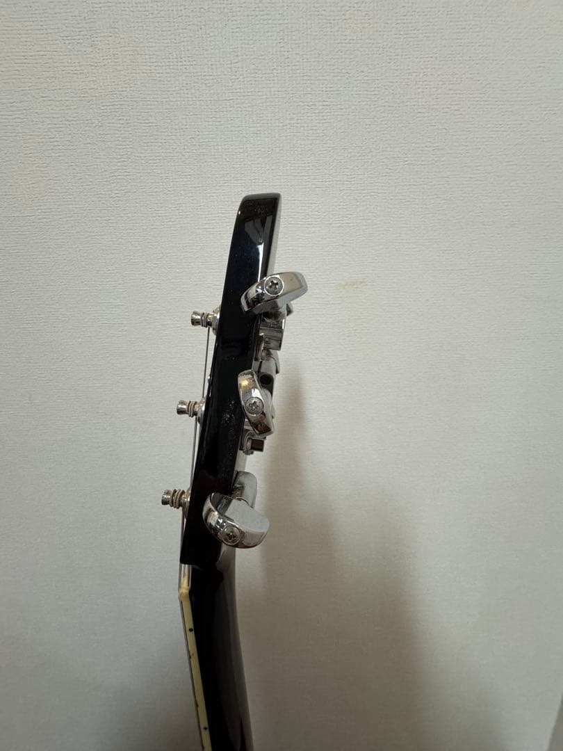 EDWORDS E-FV-125BK DOT レフティ用