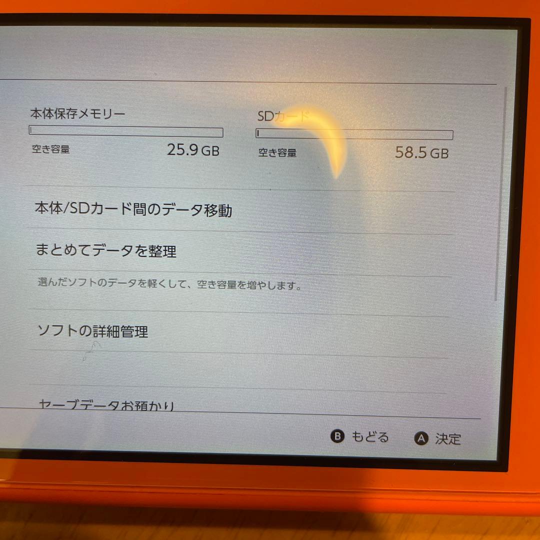 Nintendo Switch Lite コーラル