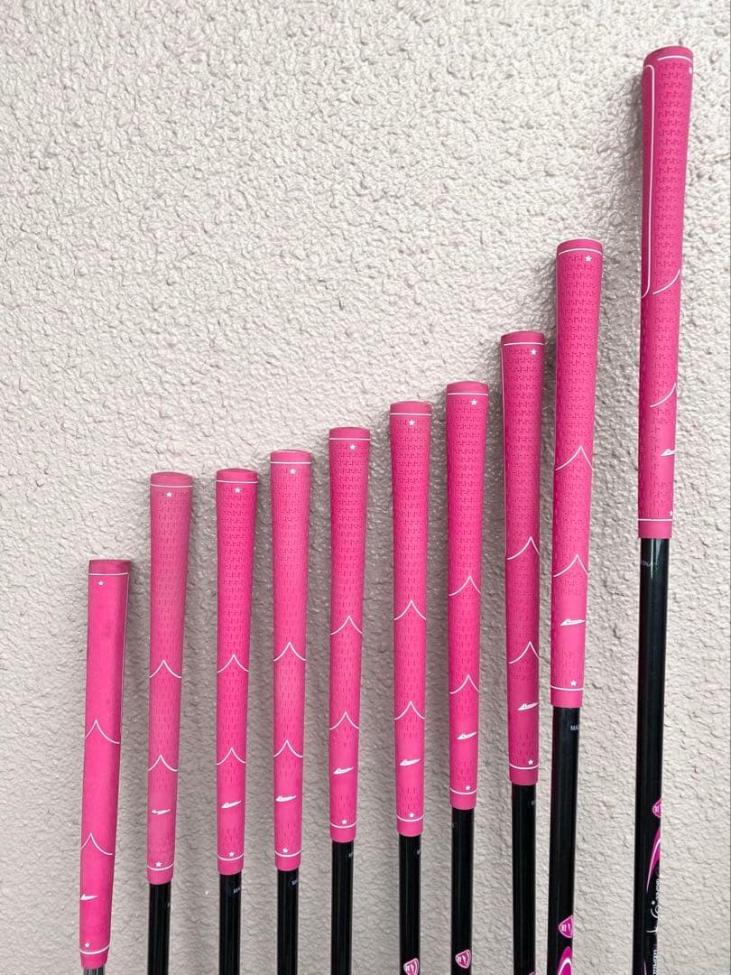 WORLD EAGLE ゴルフクラブセット 10本キャディバックレディース