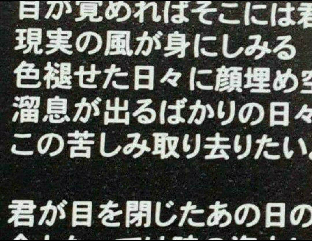 DNA VIRUS X-JAPAN 黒蝪蝶 AION ジャパメタ 廃盤 激レア