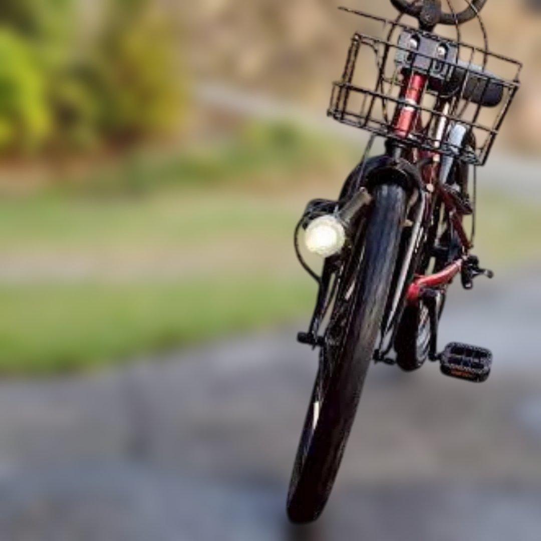 【配送可】20インチ ドライドBEAT 6段変速