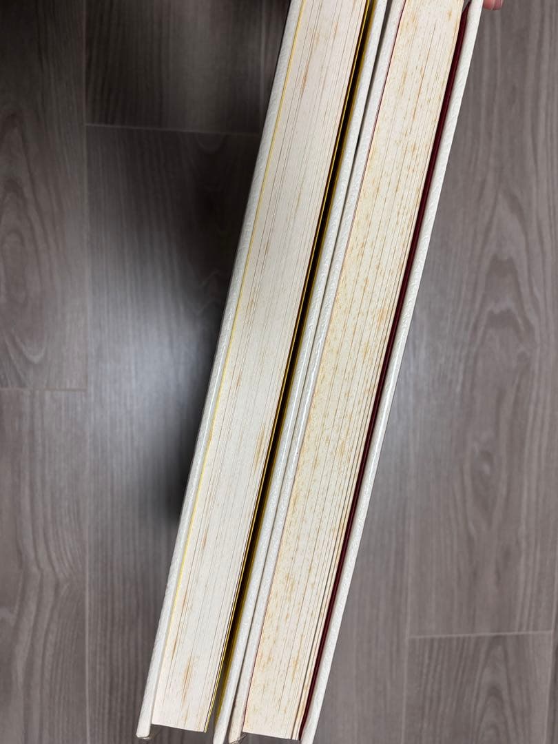 シャガール リトグラフ全集 全5巻