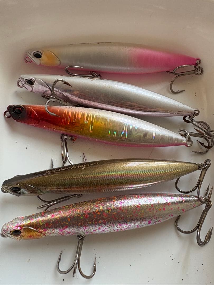 ビーチウォーカーウェッジ95s