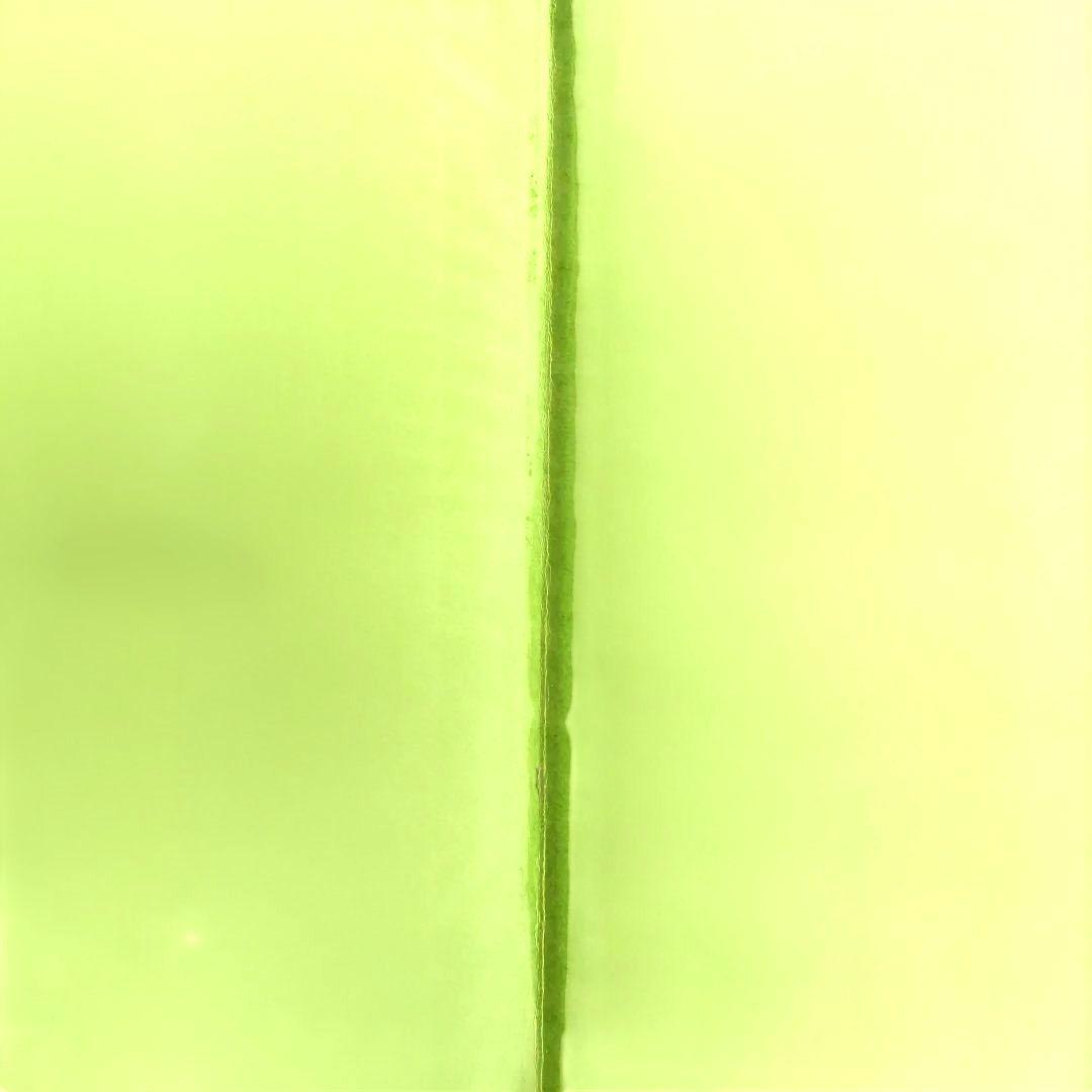 【希少】SOUTH BEACH STORIES/ヴェルサーチ 写真集 作品集