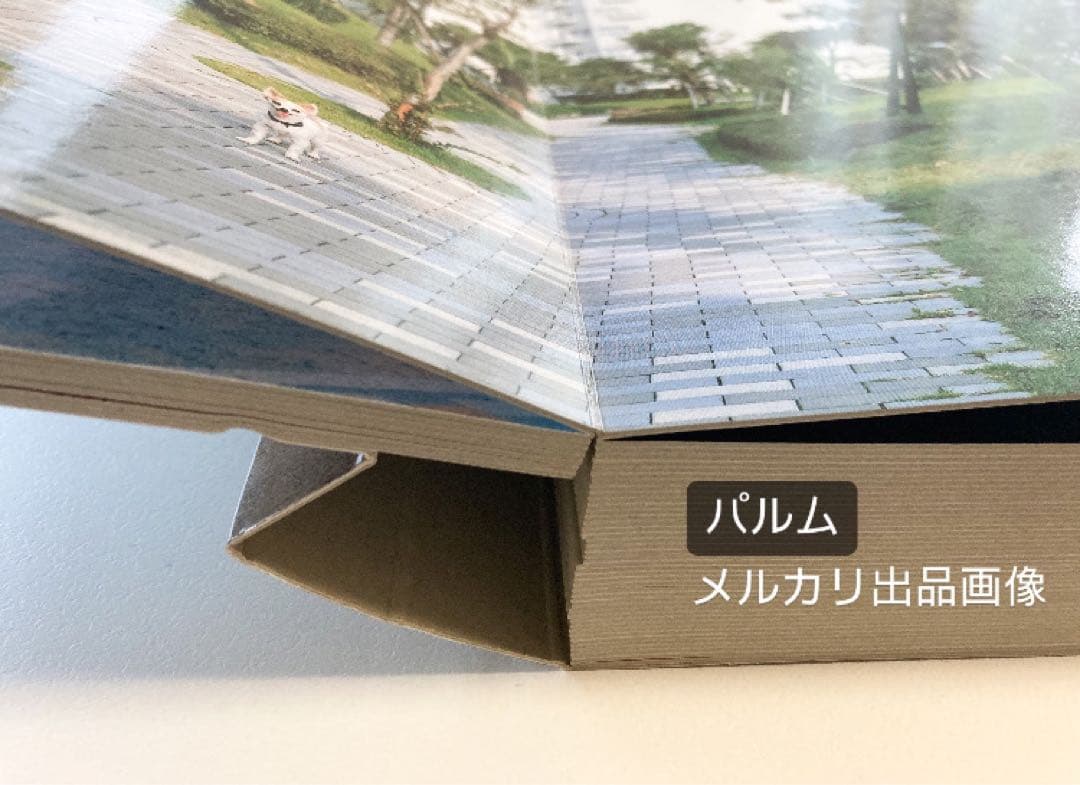 【写真集】ホンマタカシ TOKYO SUBURBIA 東京郊外