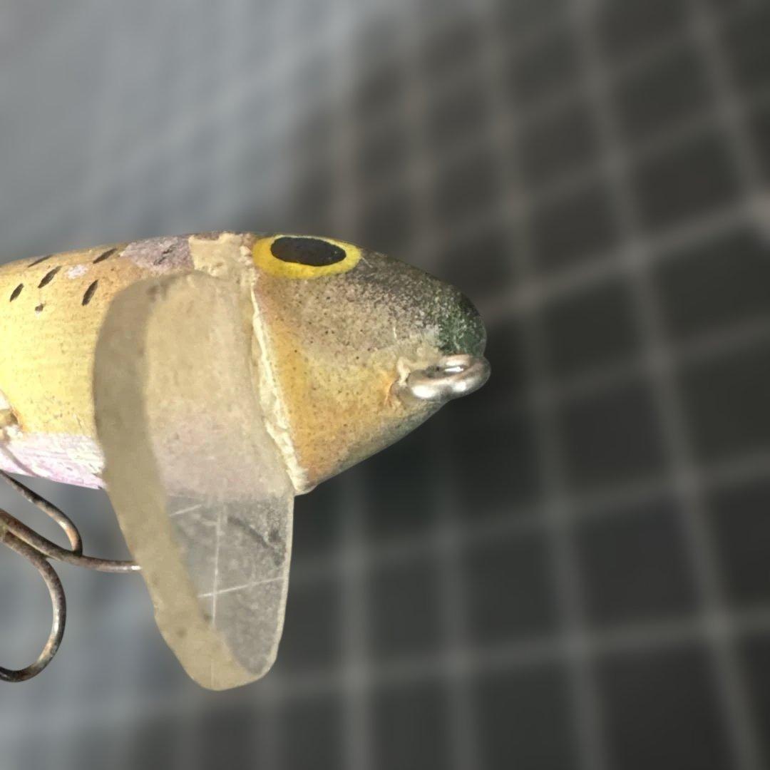 アランコール　ACプラグ ACミノー レインボートラウト