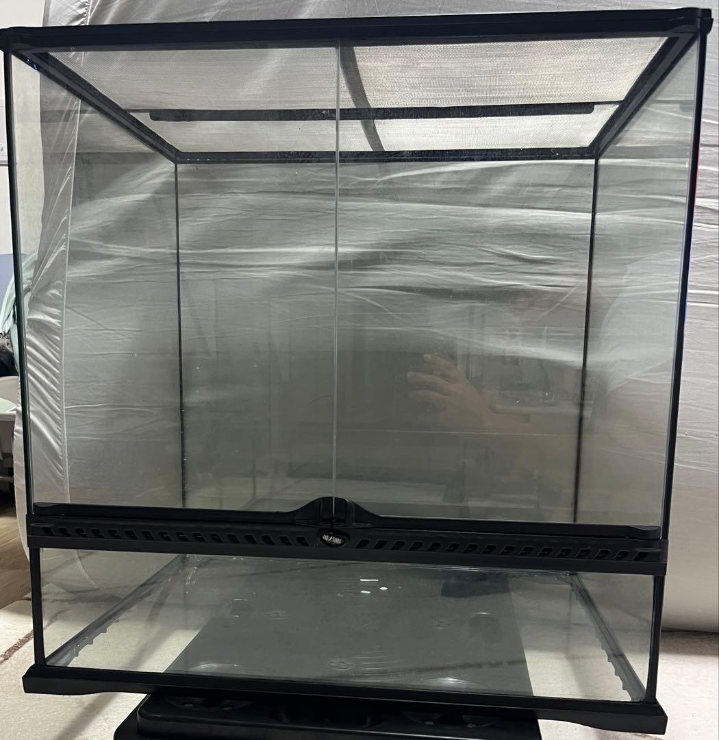 エキゾテラ　グラステラリウム6060