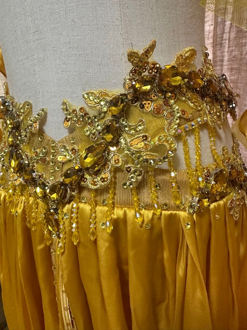 波　オーダー豪華衣装　新品　ベリーダンス　4点セット