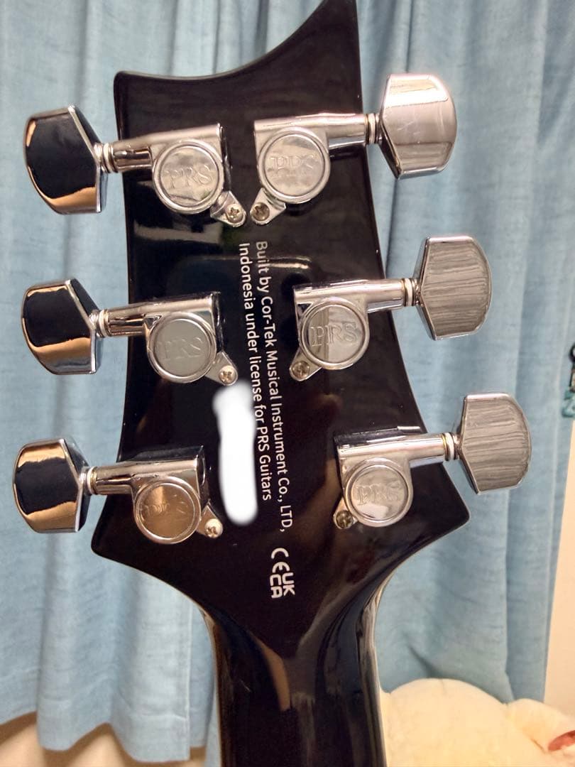 ギター PRS SE CUSTOM 24 Quilt Package