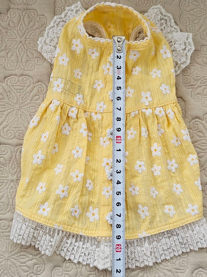 アトリエgg シークワーサーの花(イエロー)