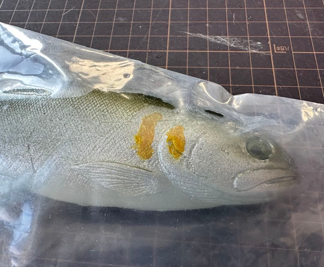 ハドルトラウト 8インチ ROF16 ハドルストン