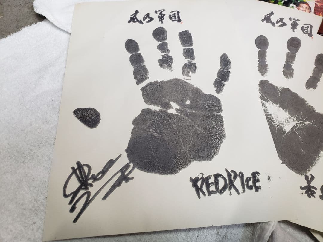 希少 湘南乃風 会員特権特典 サイン入り 立体手形