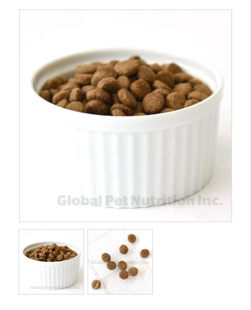 MCTオイルてんかんSANIMED 犬用食事療法食 ニューロサポート3kg 2個