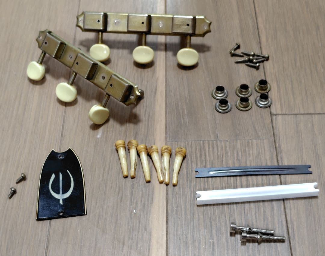 全て長渕剛と同じ仕様【epiphonecortez1966年製FT-45】ギター