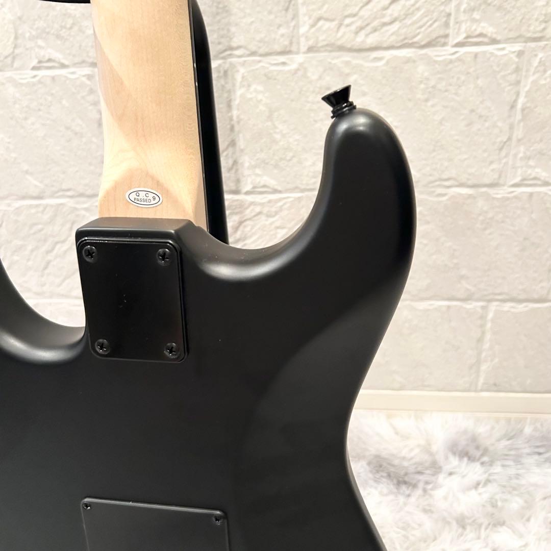 【ほぼ未使用品】SELDER セルダー エレキギター STC-04