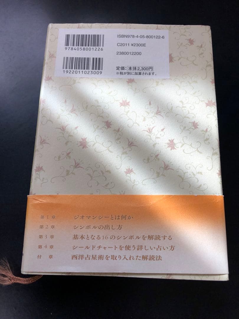 秘密のジオマンシー占い運命の裁判官が告げる128通りの未来 高橋桐矢 ヘイズ中村