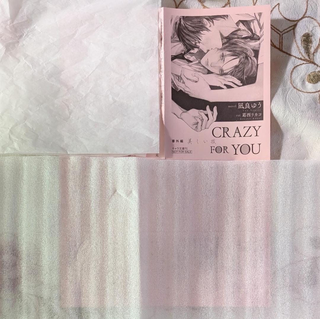 美しい彼セット 小説劇場版帯 入場特典 7net写真集 genic. ドラマCD