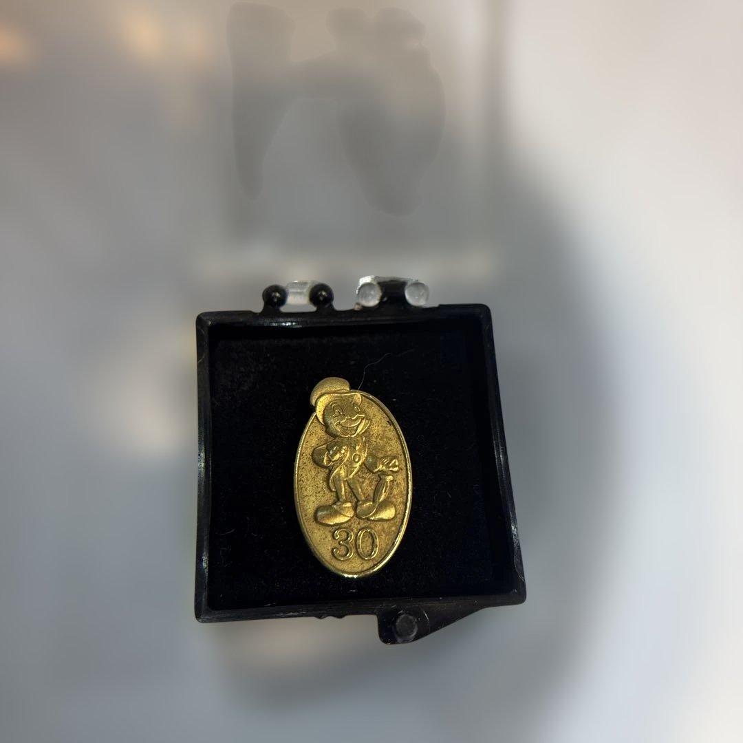 激レア　ディズニー キャスト 勤続30年 記念ピンバッジ ジミニークリケット