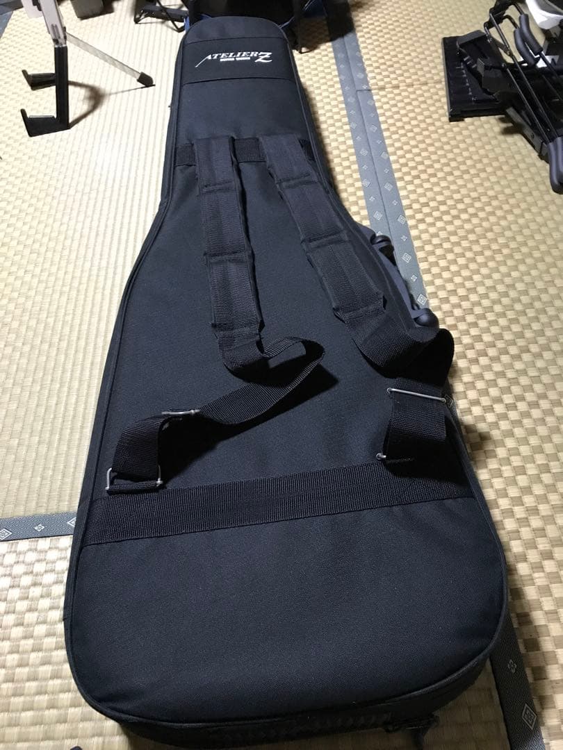 HIDEモデル FERNANDES MG-100X アメーバペイズリーペイント