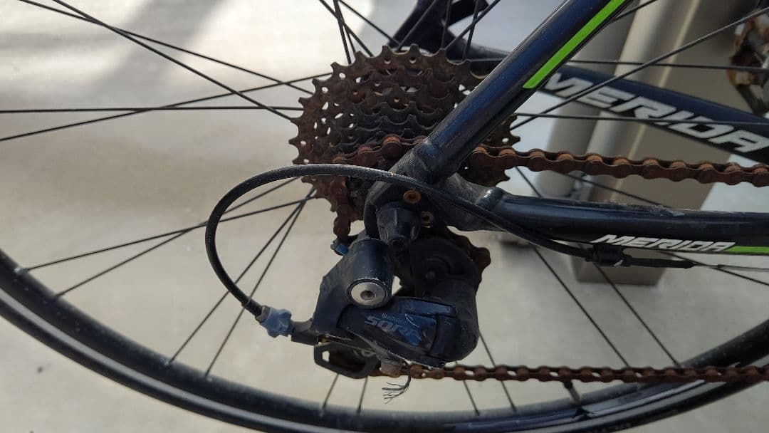 メリダ スクルトゥーラ100 2016年モデル