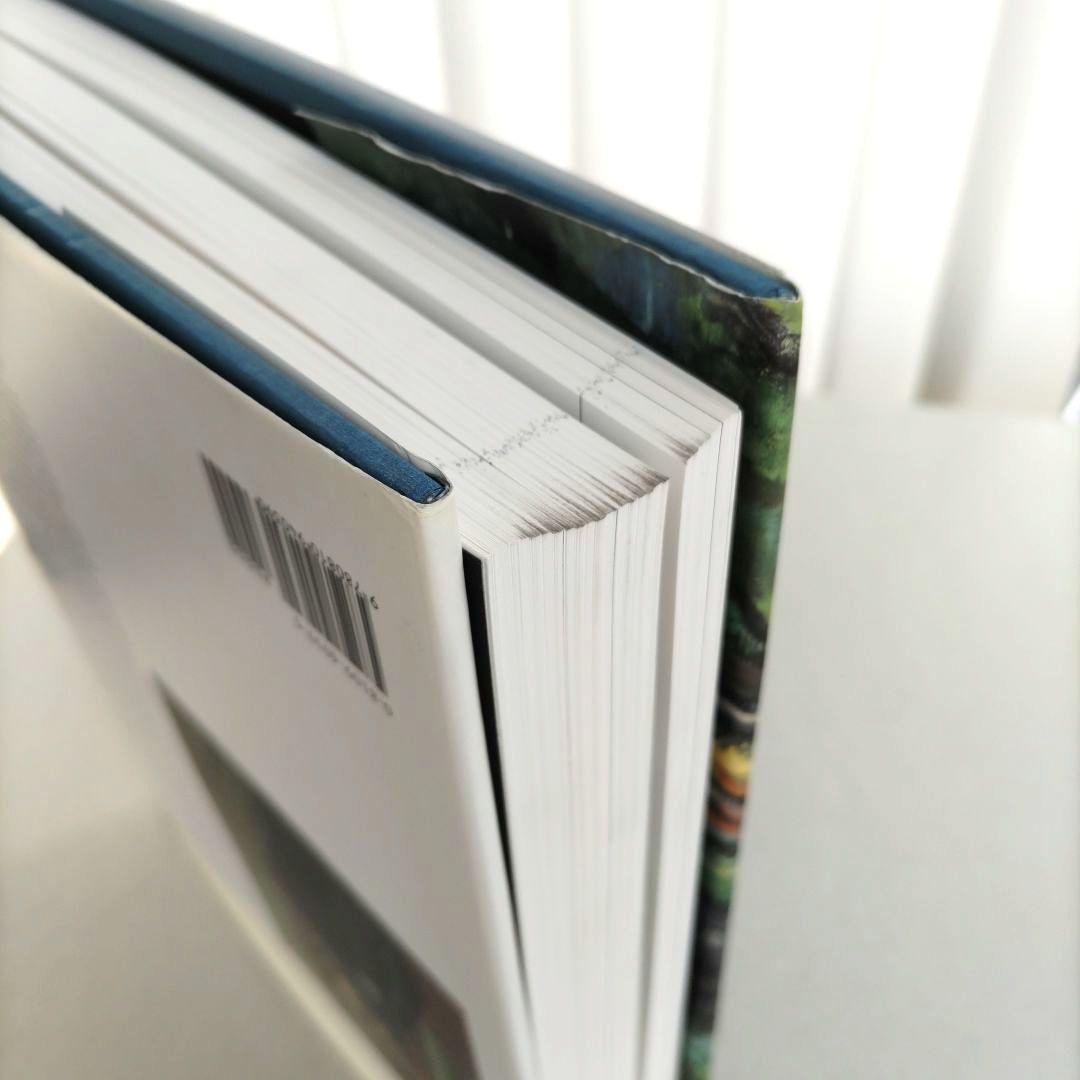 Cézanne/ポール・セザンヌ 画集 作品集 アート 洋書