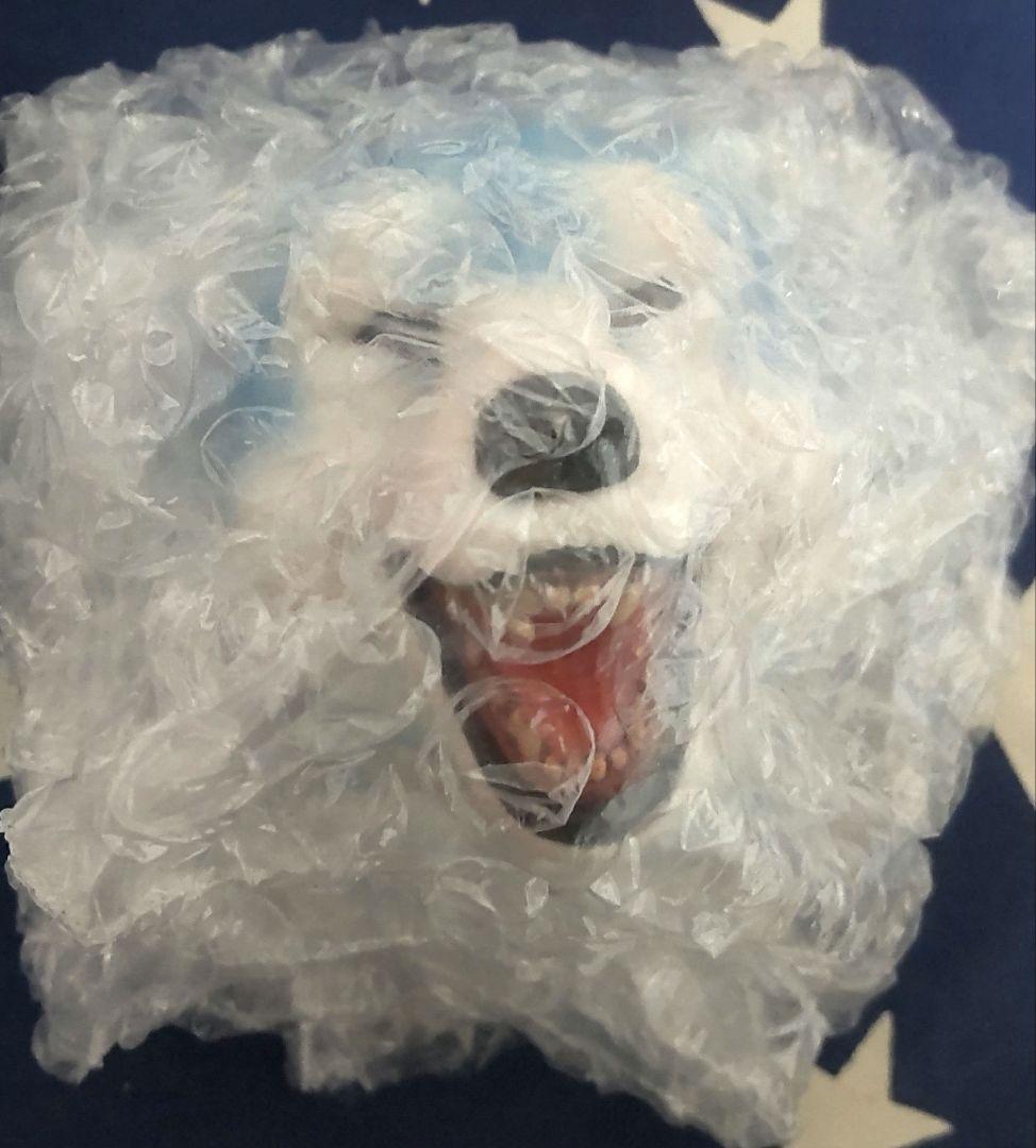 一番くじ マンウィズ H賞 フェイスマグネット 5種コンプセット