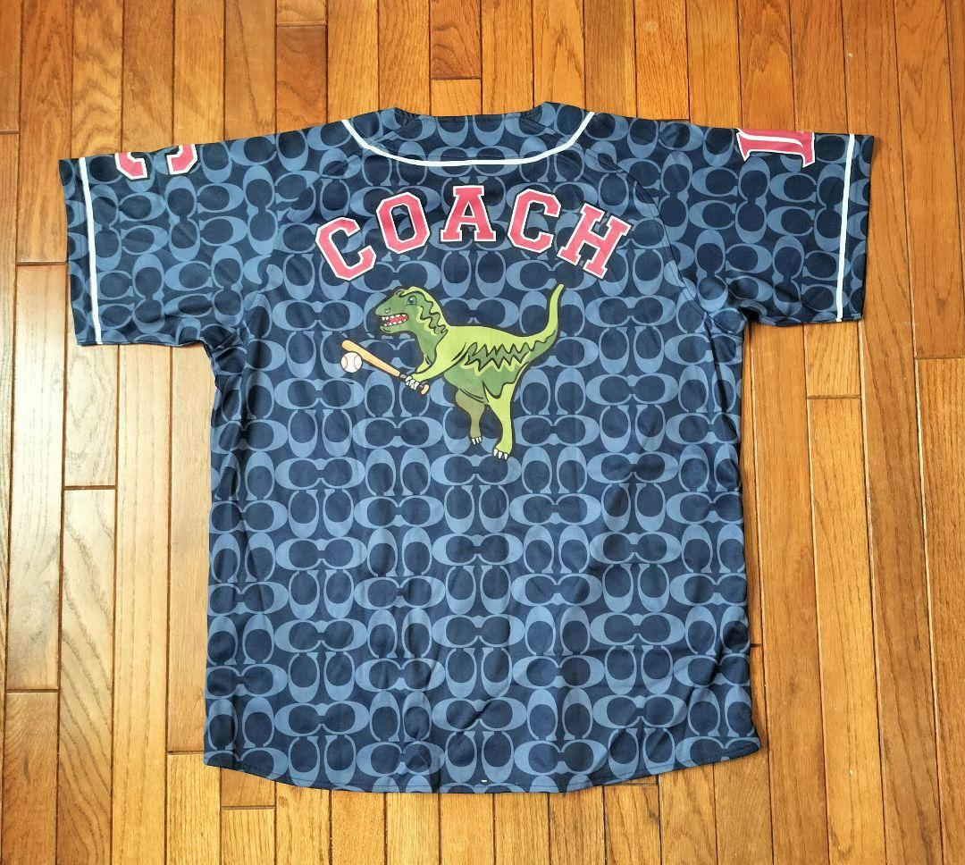 埼玉西武ライオンズ グッズ、ユニフォームセット