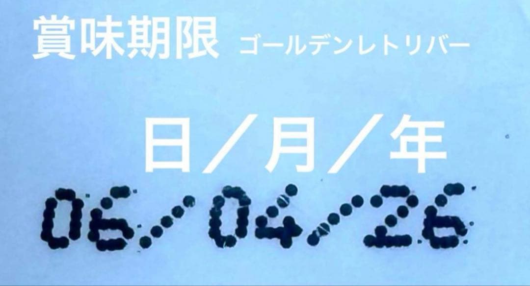 ロイヤルカナン　ゴールデンレトリバー 12kg×2袋セット　ダンボール発送